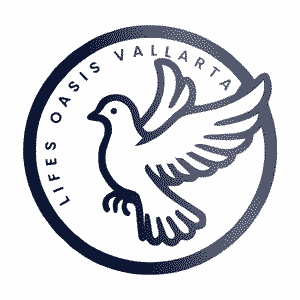 Recovery Life’s Oasis Vallarta