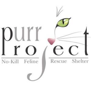 Purr Project Bingo Fundraiser