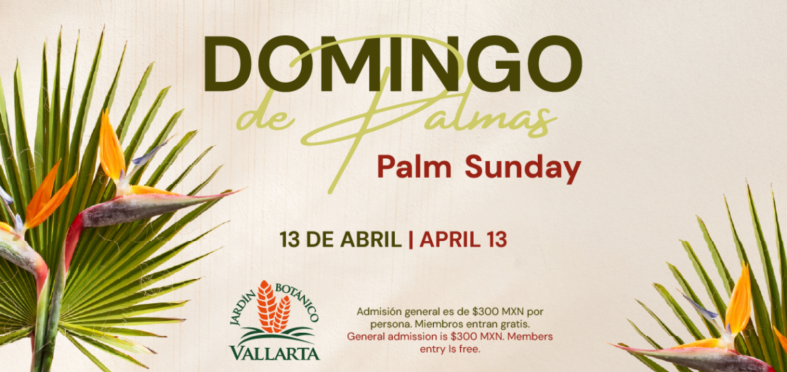 Palm Sunday at Vallarta Botanical Garden Puerto Vallarta donate nature discover