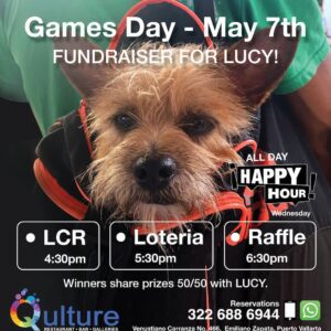 Games Day – Fundraiser for Lucy
