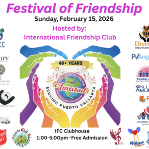 Friendship Festival (Meet the Charities, Feel the Impact)